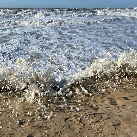 In Near & Dunes Apartment *